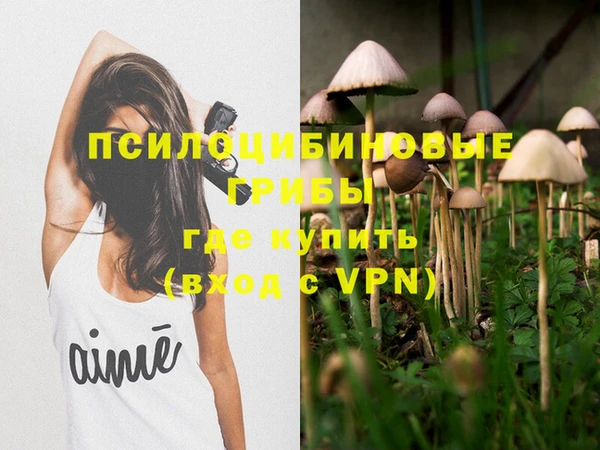 jwh Богородицк